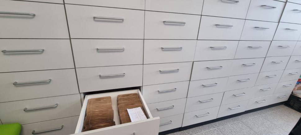 „Am dormit în frig ca să salvez semințele”: mărturia cutremurătoare a omului care ține vie grădina genetică a României 976575