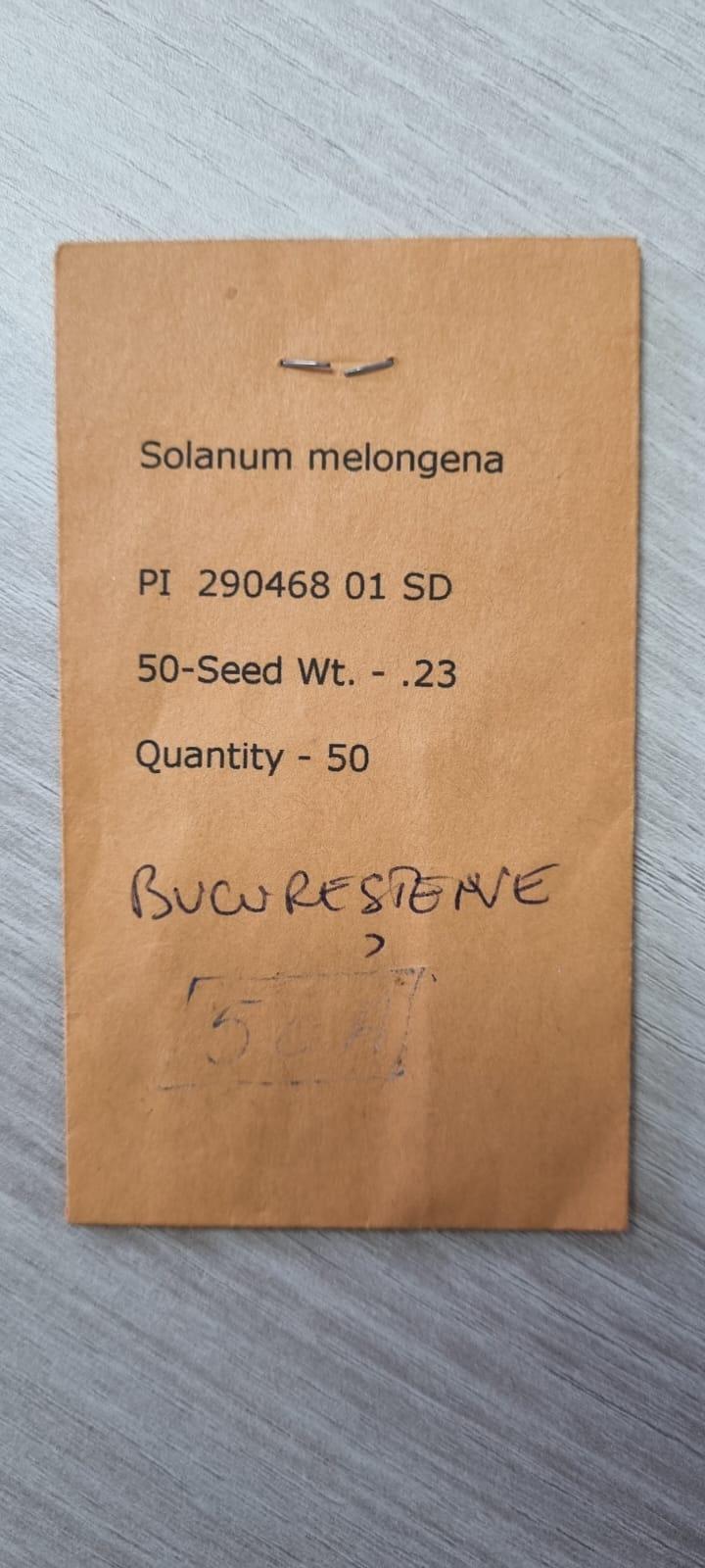 „Am dormit în frig ca să salvez semințele”: mărturia cutremurătoare a omului care ține vie grădina genetică a României 976577
