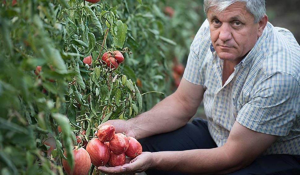 „Am dormit în frig ca să salvez semințele”: mărturia cutremurătoare a omului care ține vie grădina genetică a României 976579