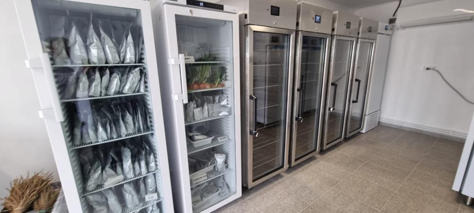 „Am dormit în frig ca să salvez semințele”: mărturia cutremurătoare a omului care ține vie grădina genetică a României 976582