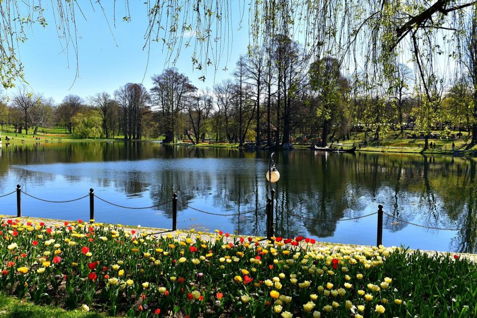 Forbes: Craiova este cea mai bună destinație culturală din Europa, în 2025. Se află înaintea celebrelor metropole Atena şi Florenţa 976954