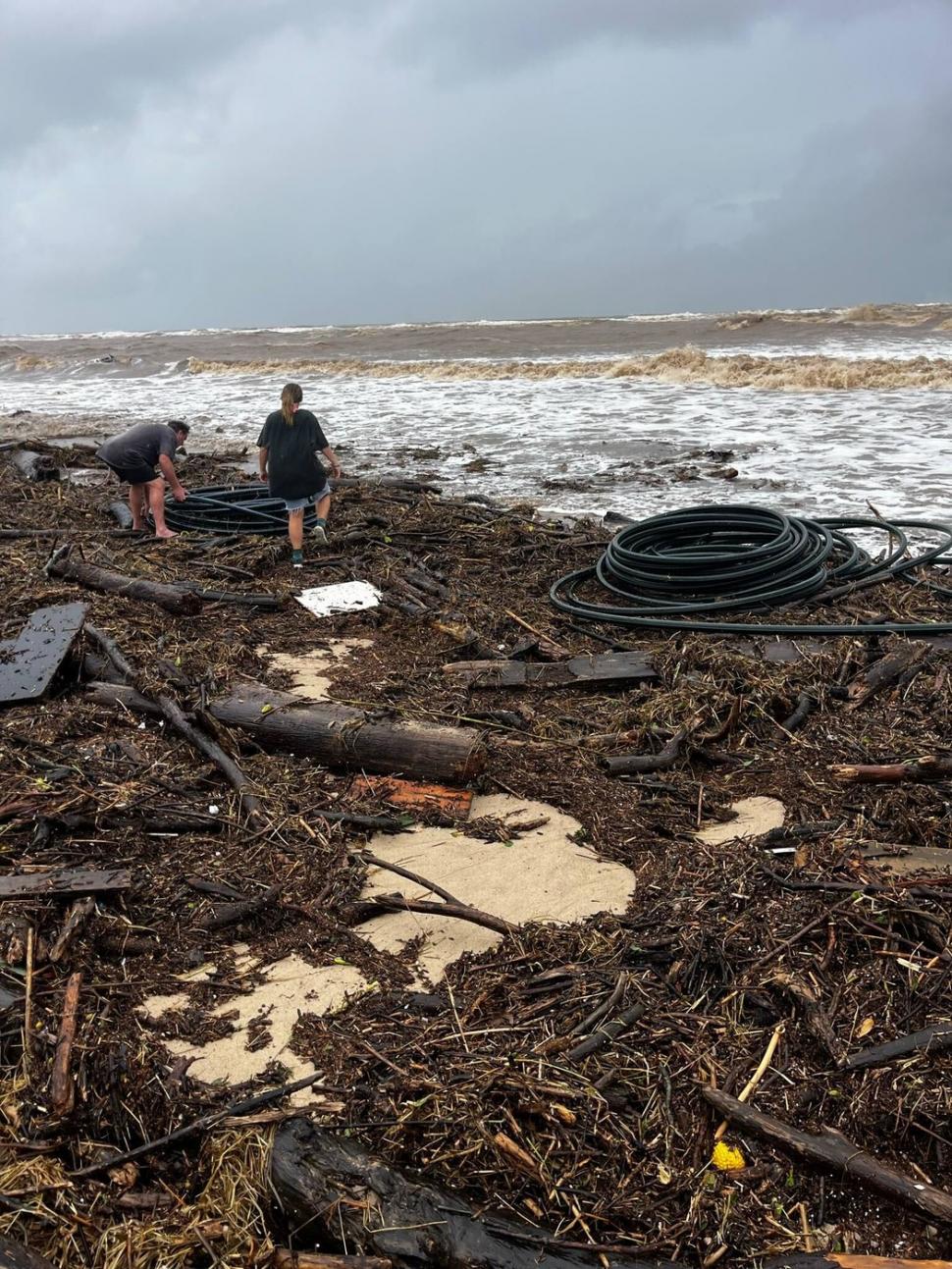 Oamenii sunt uluiți: O vacă luată de viitură și aruncată în ocean a fost găsită în viață, la 70 km distanță de casă, pe plajă 976838