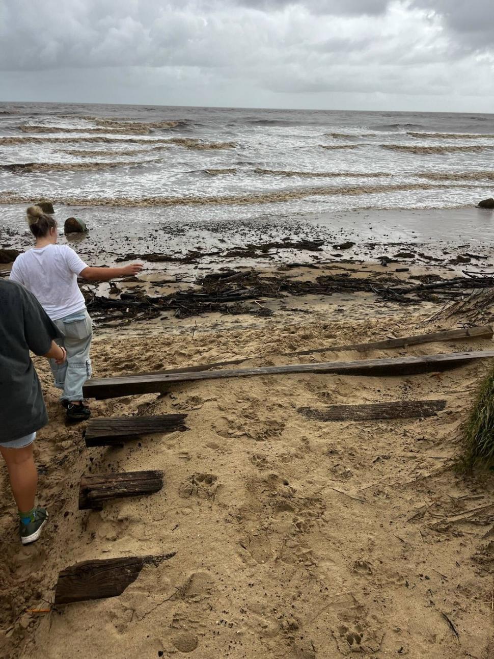 Oamenii sunt uluiți: O vacă luată de viitură și aruncată în ocean a fost găsită în viață, la 70 km distanță de casă, pe plajă 976846