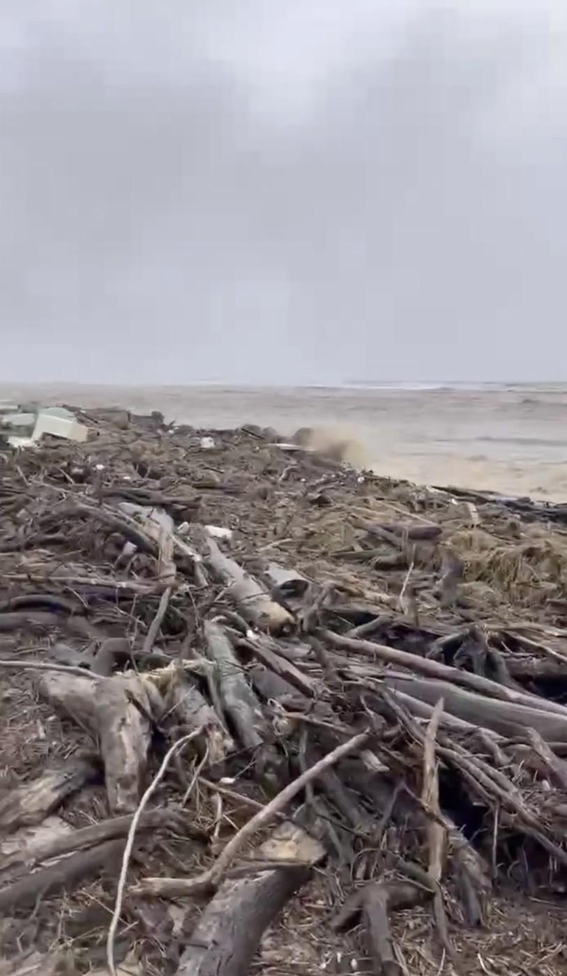 Oamenii sunt uluiți: O vacă luată de viitură și aruncată în ocean a fost găsită în viață, la 70 km distanță de casă, pe plajă 976847