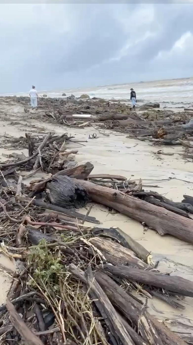 Oamenii sunt uluiți: O vacă luată de viitură și aruncată în ocean a fost găsită în viață, la 70 km distanță de casă, pe plajă 976848