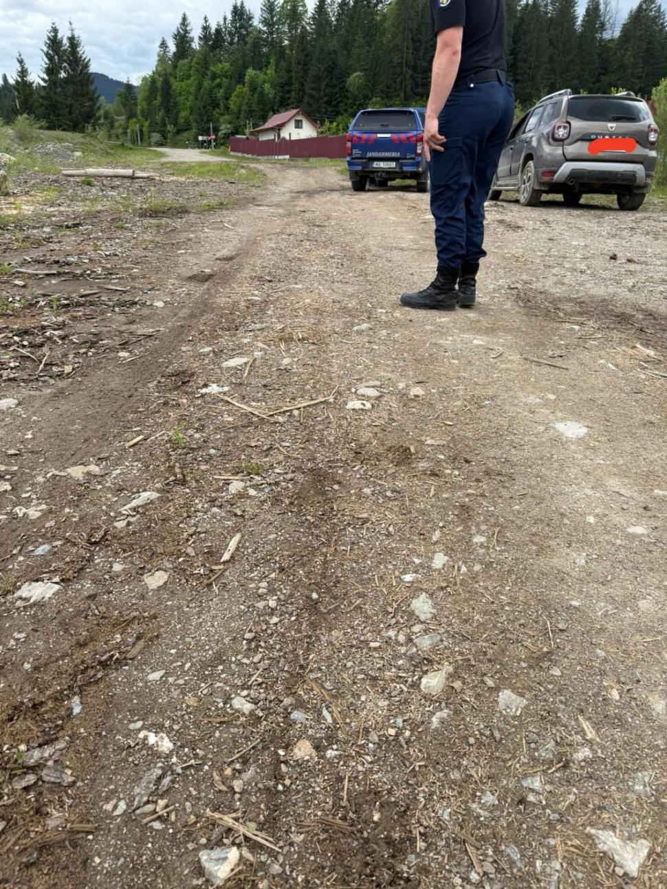 Scene şocante în Suceava. O femeie a legat un câine de mașină și l-a târât pe o stradă. Animalul a fost salvat de jandarmi 977062