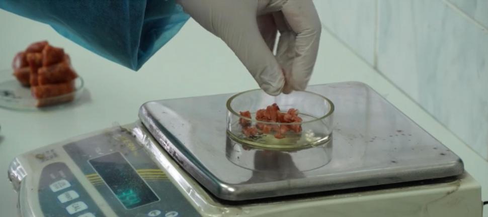 USV Timișoara școlarizează tehnicieni pentru cele mai importante industrii alimentare. Diploma de BAC nu este obligatorie 976979