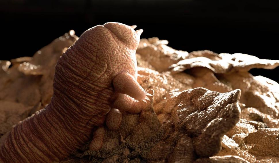 Bal mascat la microscop: cum își fac de cap acarienii pe fața ta în timp ce dormi 977174