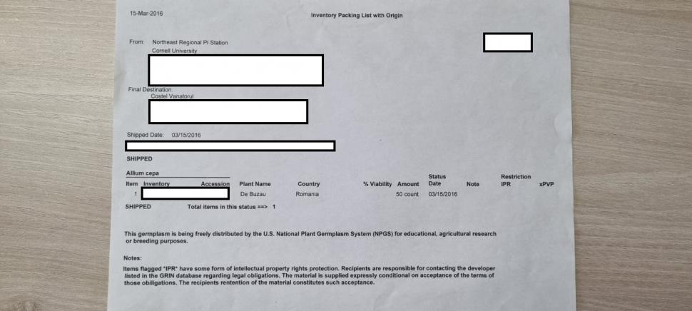 Cum a pierdut România ceapa aurie de Buzău, roșiile „inimă de bou” şi pepenii de Lovrin: „Nu le mai putem revendica” 976859