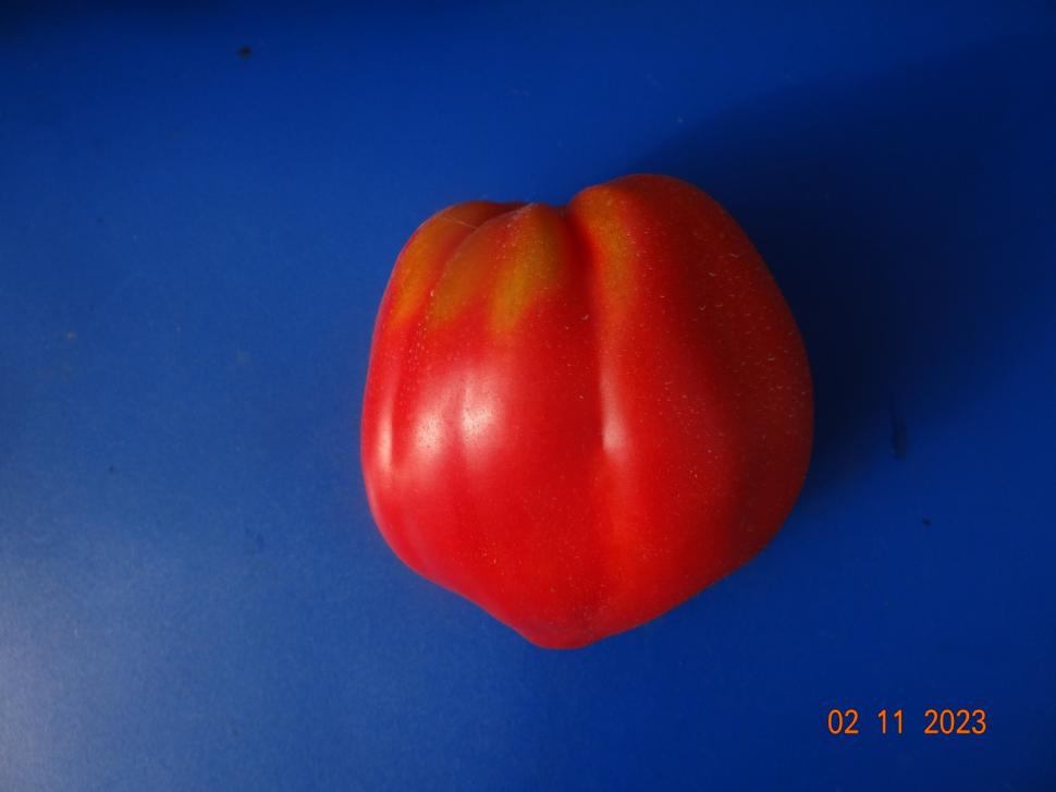 Cum a pierdut România ceapa aurie de Buzău, roșiile „inimă de bou” şi pepenii de Lovrin: „Nu le mai putem revendica” 976880