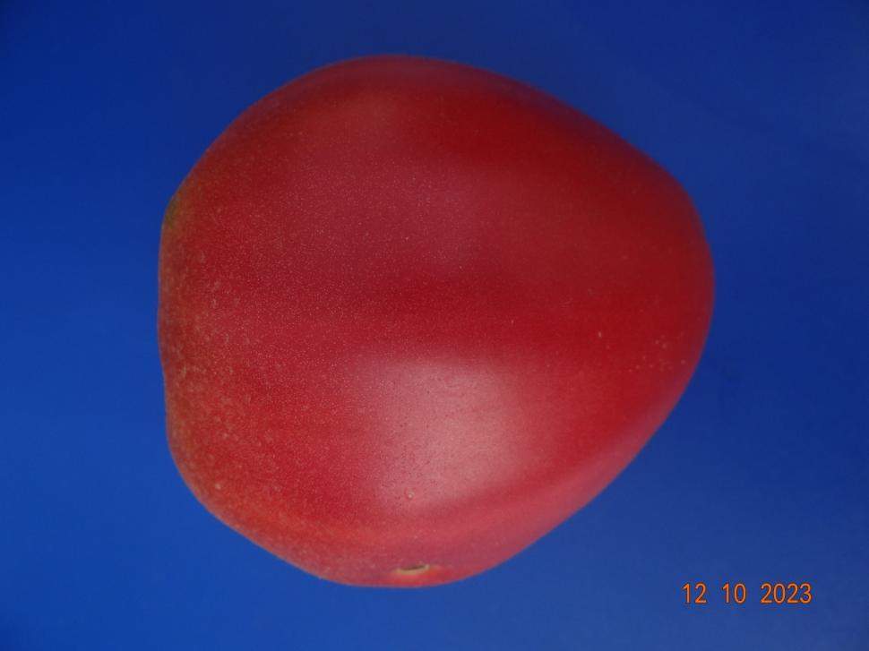 Cum a pierdut România ceapa aurie de Buzău, roșiile „inimă de bou” şi pepenii de Lovrin: „Nu le mai putem revendica” 976881