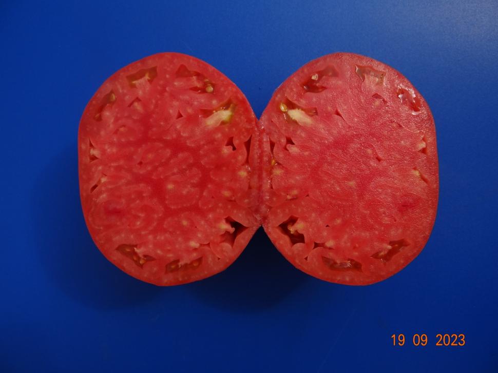 Cum a pierdut România ceapa aurie de Buzău, roșiile „inimă de bou” şi pepenii de Lovrin: „Nu le mai putem revendica” 976884