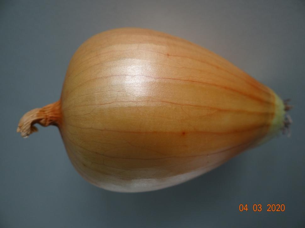 Cum a pierdut România ceapa aurie de Buzău, roșiile „inimă de bou” şi pepenii de Lovrin: „Nu le mai putem revendica” 976887