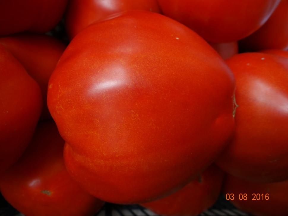 Cum a pierdut România ceapa aurie de Buzău, roșiile „inimă de bou” şi pepenii de Lovrin: „Nu le mai putem revendica” 976896