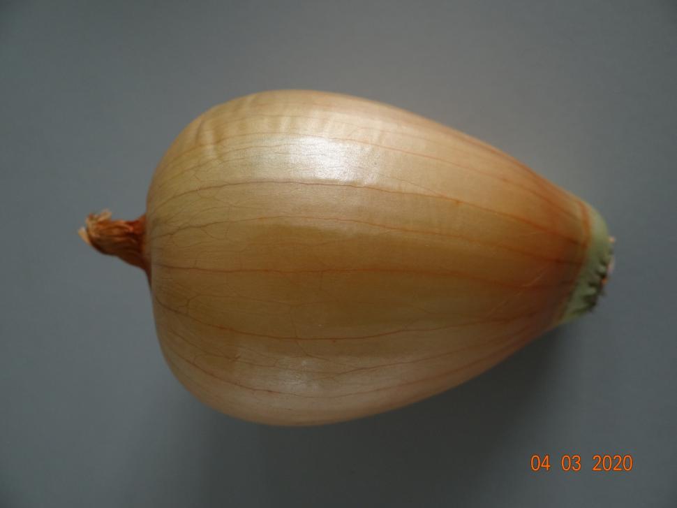 Cum a pierdut România ceapa aurie de Buzău, roșiile „inimă de bou” şi pepenii de Lovrin: „Nu le mai putem revendica” 976907