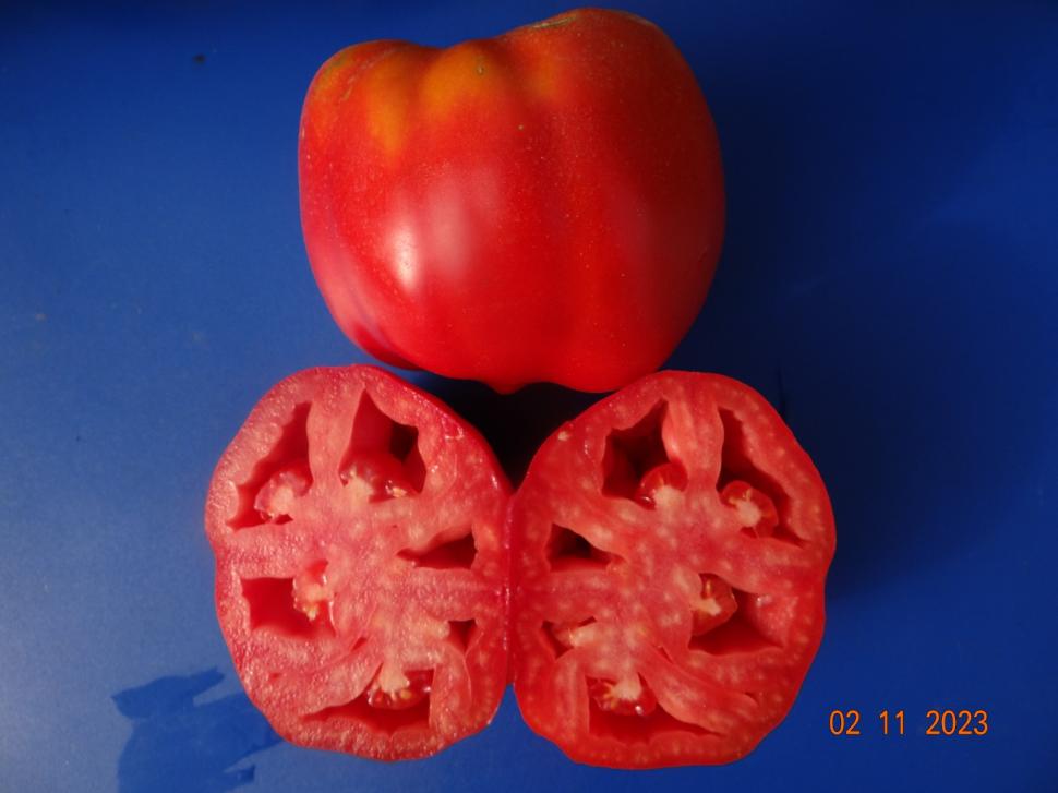 Cum a pierdut România ceapa aurie de Buzău, roșiile „inimă de bou” şi pepenii de Lovrin: „Nu le mai putem revendica” 976908