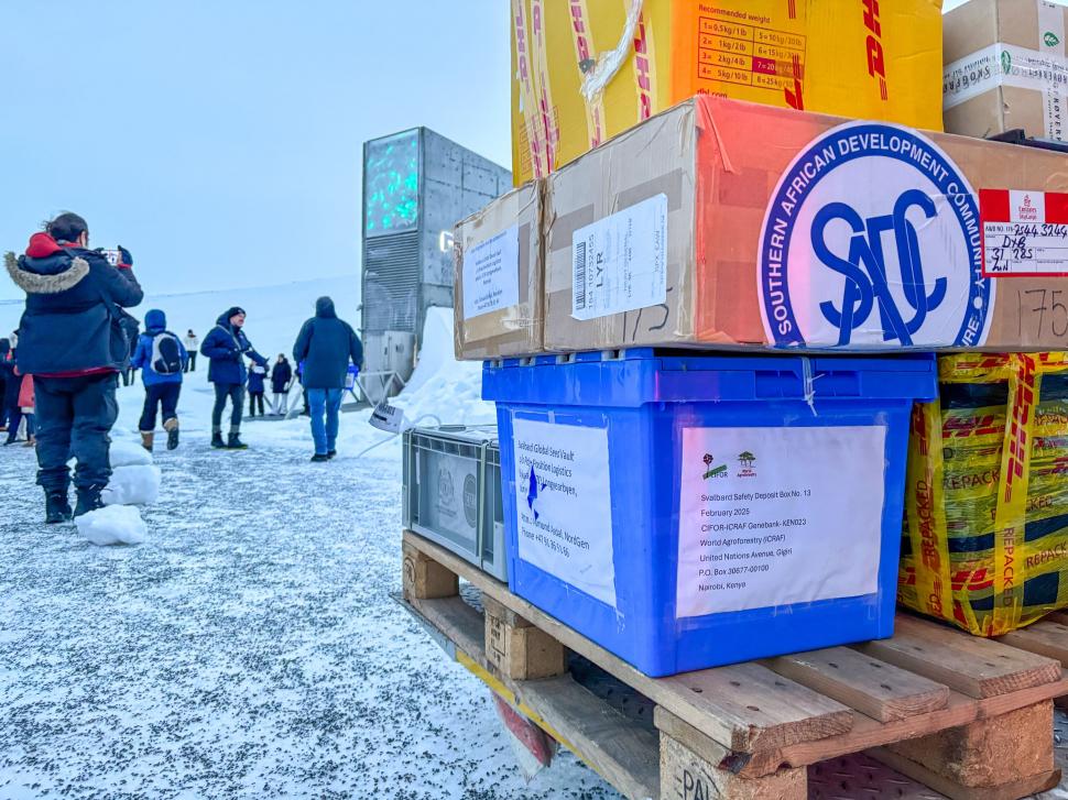 "Seiful Apocalipsei" din Svalbard. Aici se păstrează, la 100 de metri sub munte, viitorul Omenirii 976757