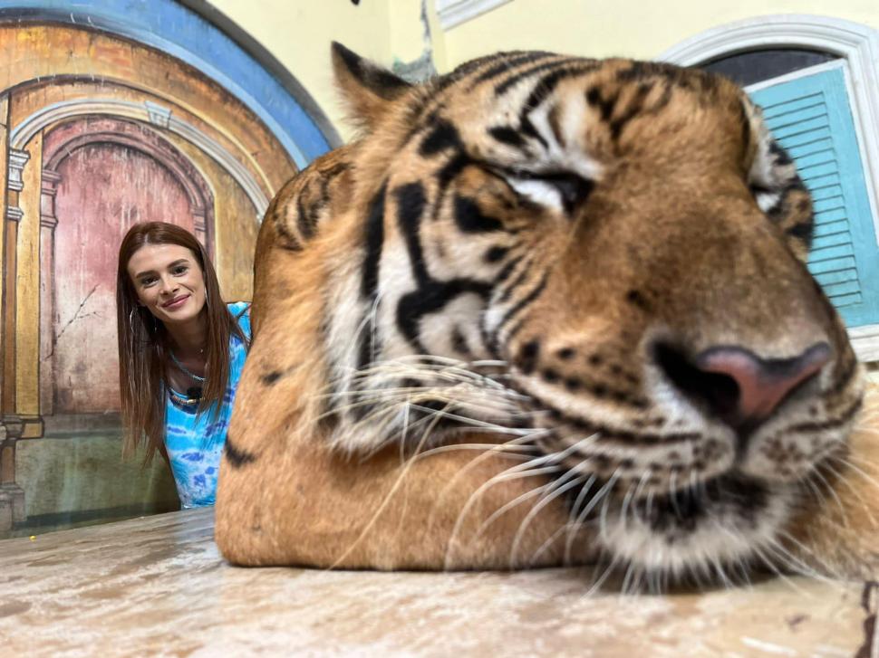 Trupul criminalului din Cosmopolis a fost ridicat de la IML de fiica şi fratele său. Familia lui Robert Lupu a decis să fie incinerat 978205