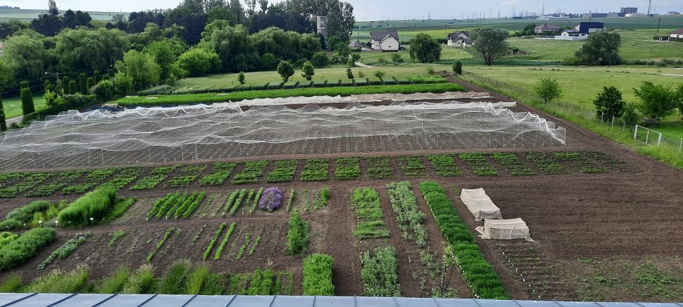 Cum și-a trimis România semințele în seiful Apocalipsei: "În caz de un cataclism, în caz că se întâmplă ceva" 978269