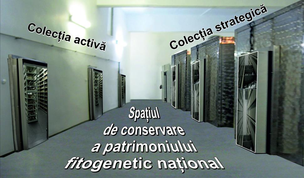 Cum și-a trimis România semințele în seiful Apocalipsei: "În caz de un cataclism, în caz că se întâmplă ceva" 978270