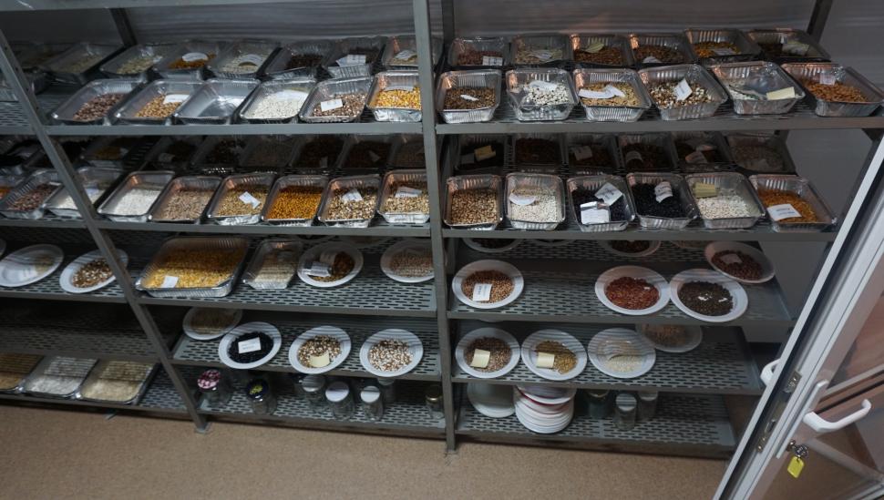 Cum și-a trimis România semințele în seiful Apocalipsei: "În caz de un cataclism, în caz că se întâmplă ceva" 978271