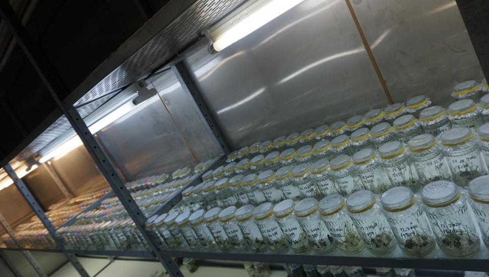 Cum și-a trimis România semințele în seiful Apocalipsei: "În caz de un cataclism, în caz că se întâmplă ceva" 978272