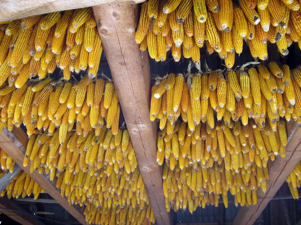 Cum și-a trimis România semințele în seiful Apocalipsei: "În caz de un cataclism, în caz că se întâmplă ceva" 978276