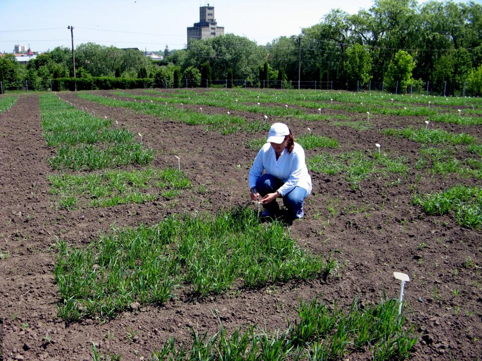 Cum și-a trimis România semințele în seiful Apocalipsei: "În caz de un cataclism, în caz că se întâmplă ceva" 978277