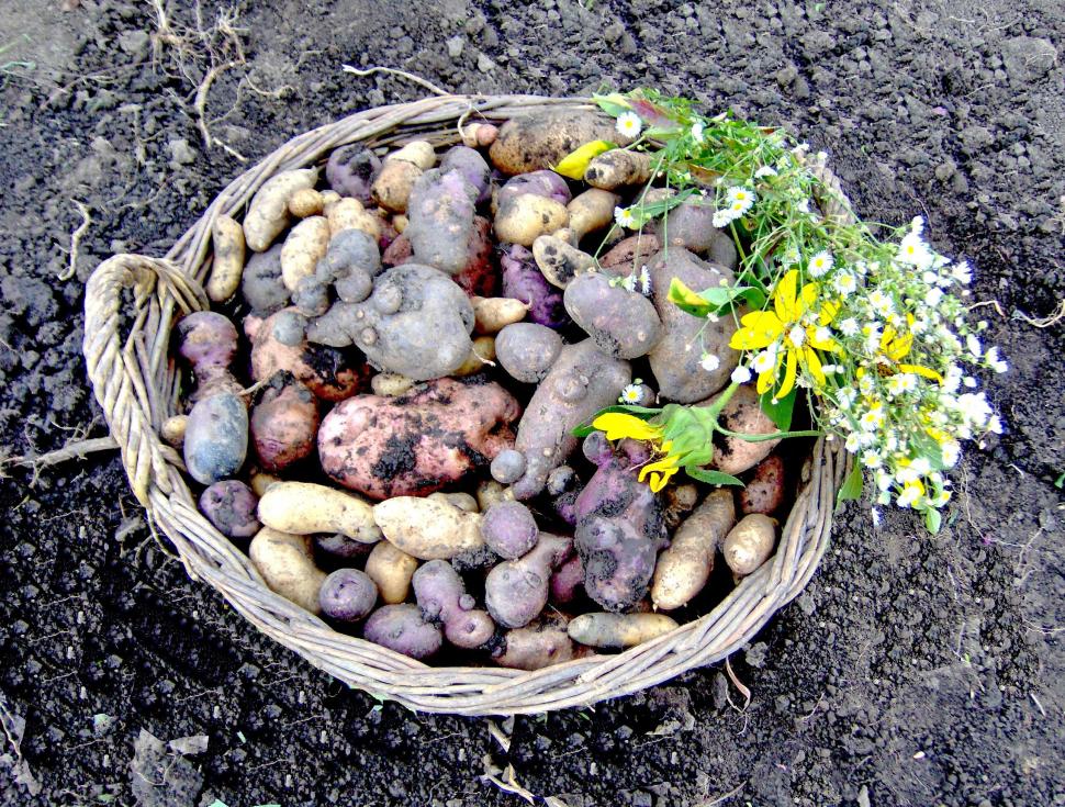 Cum și-a trimis România semințele în seiful Apocalipsei: "În caz de un cataclism, în caz că se întâmplă ceva" 978279