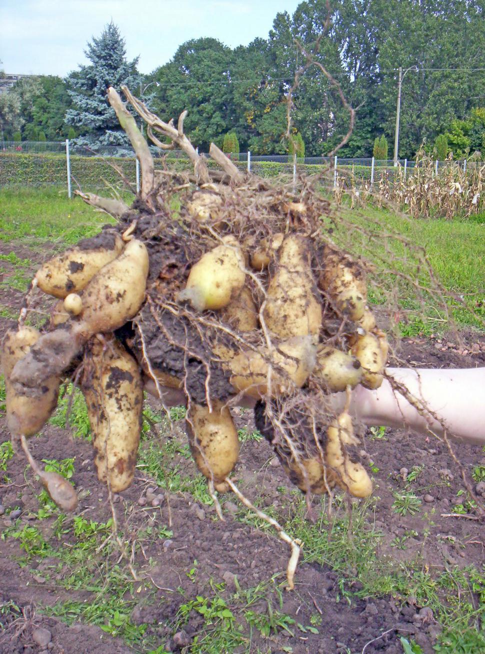 Cum și-a trimis România semințele în seiful Apocalipsei: "În caz de un cataclism, în caz că se întâmplă ceva" 978280