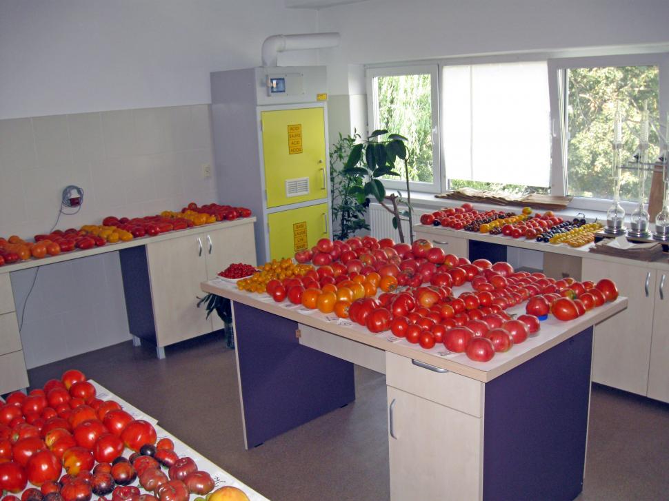 Cum și-a trimis România semințele în seiful Apocalipsei: "În caz de un cataclism, în caz că se întâmplă ceva" 978282