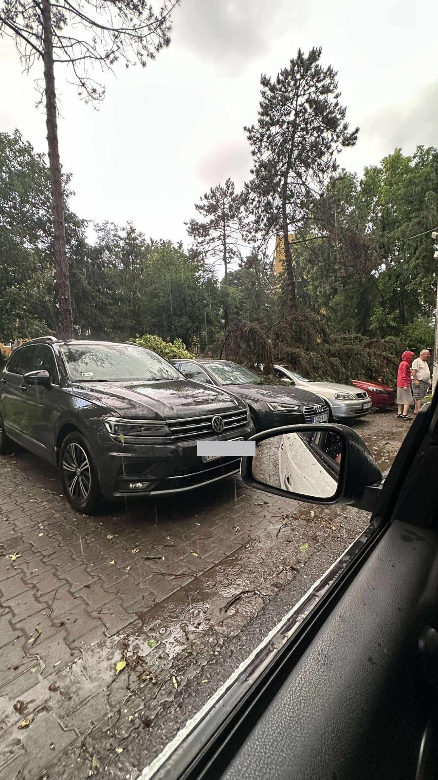 Furtună violentă în Mureș: o persoană lovită de fulger, copaci căzuți pe șosea și mașini avariate 979197