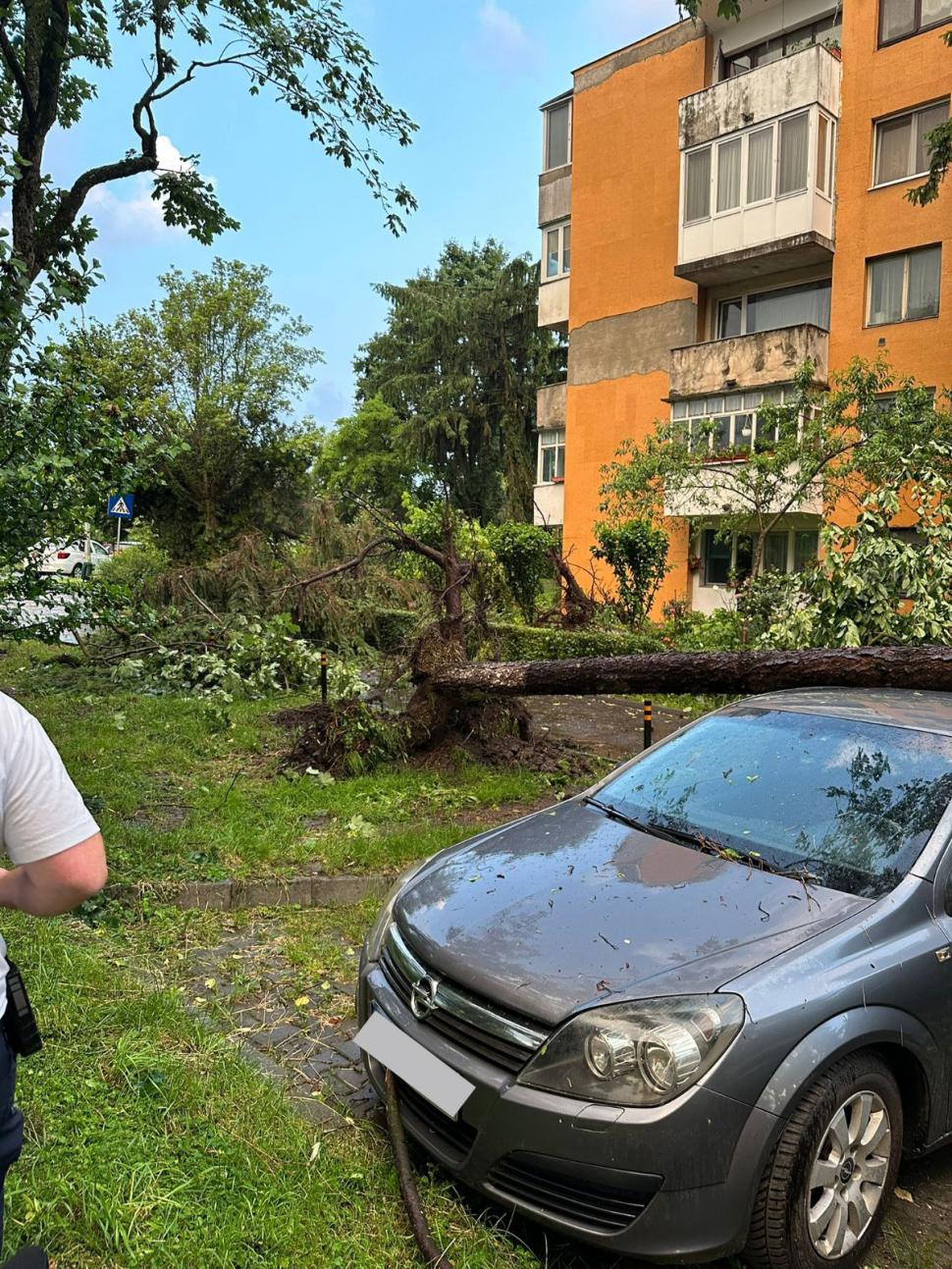 Furtună violentă în Mureș: o persoană lovită de fulger, copaci căzuți pe șosea și mașini avariate 979198