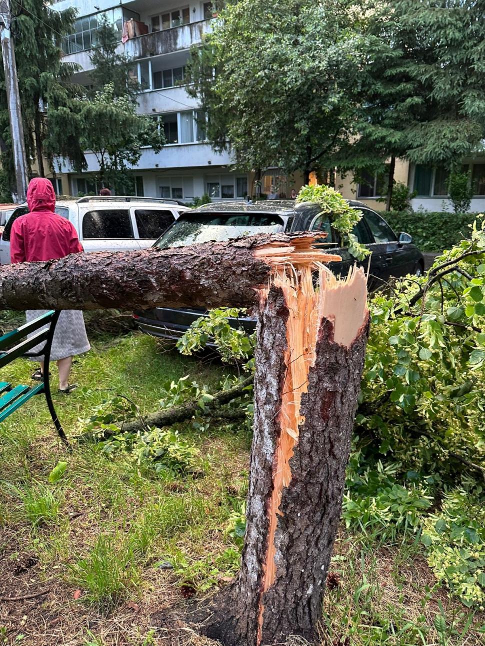 Furtună violentă în Mureș: o persoană lovită de fulger, copaci căzuți pe șosea și mașini avariate 979199