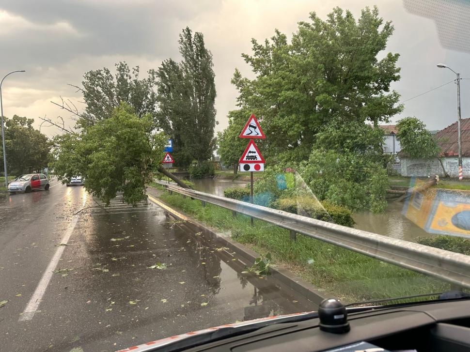 Furtună violentă în Mureș: o persoană lovită de fulger, copaci căzuți pe șosea și mașini avariate 979200