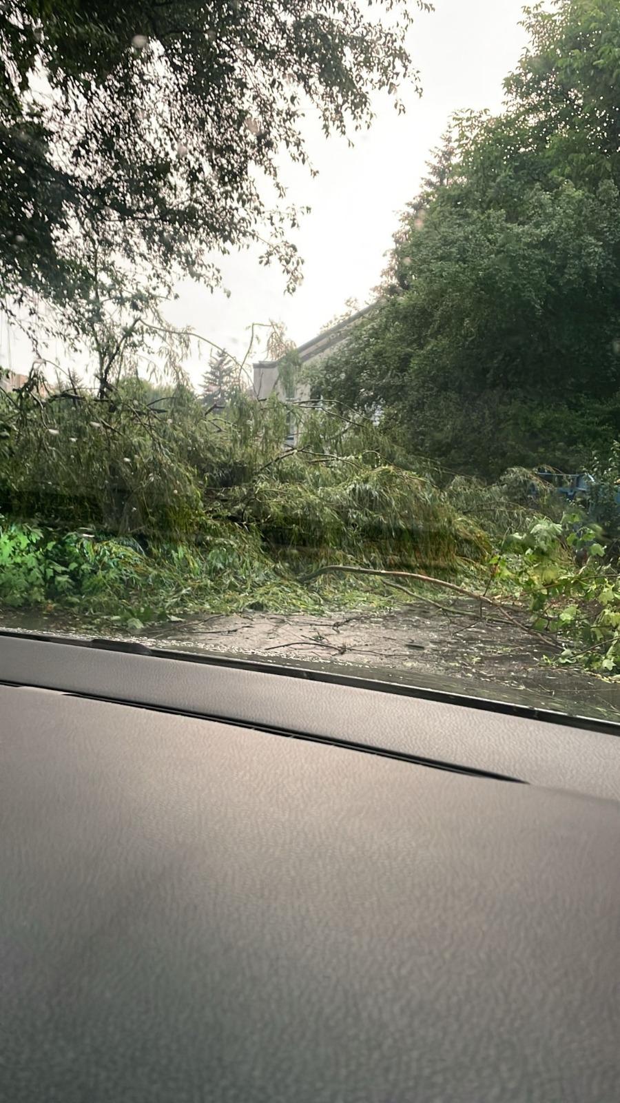 Furtună violentă în Mureș: o persoană lovită de fulger, copaci căzuți pe șosea și mașini avariate 979202