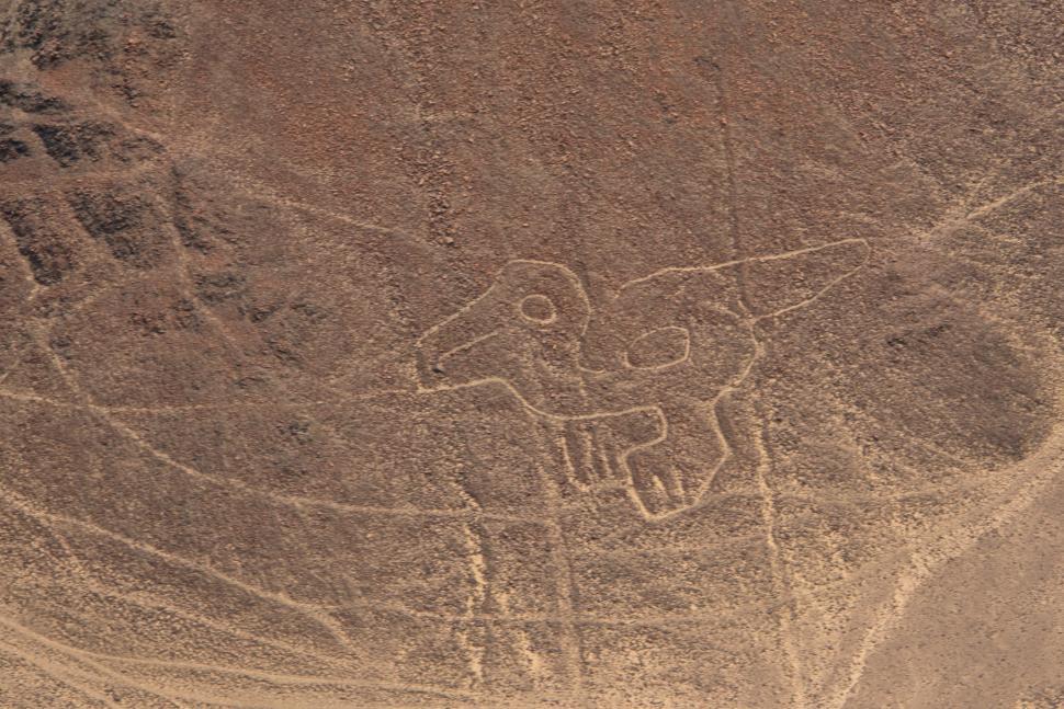 Peru a renunţat la controversatul plan de reducere a celebrei Rezervații Nazca: Urmează o discuție științifică, alături de UNESCO 979861