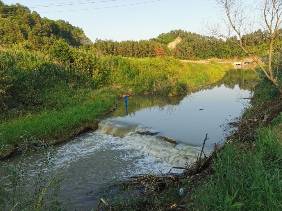 Dezastru ecologic la Târnava Mică. Mircea Fechet: Mor deja peștii. Vom notifica partea ungară 980335
