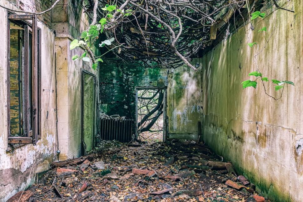 În interiorul celei mai „înfricoșătoare” insule din lume, cu 160.000 de cadavre abandonate, unde turiștilor le este interzis să calce 981473