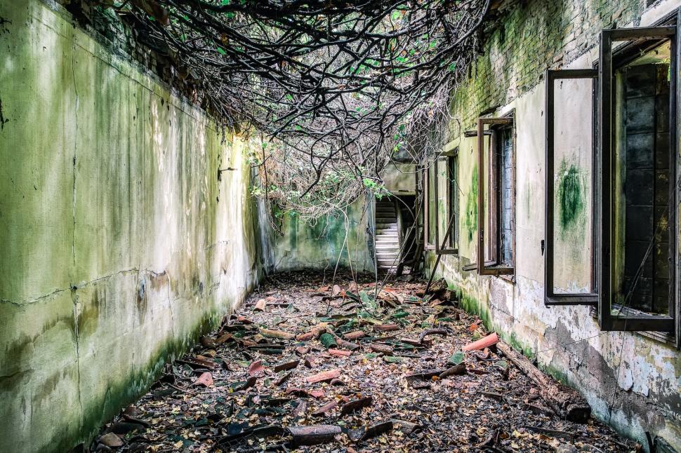 În interiorul celei mai „înfricoșătoare” insule din lume, cu 160.000 de cadavre abandonate, unde turiștilor le este interzis să calce 981478