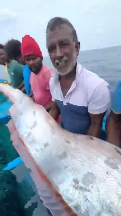 Mai mulți pescari au prins „peștele apocalipsei”, s-au fotografiat cu el și acum sunt îngroziți că un dezastru îi va lovi curând 981736