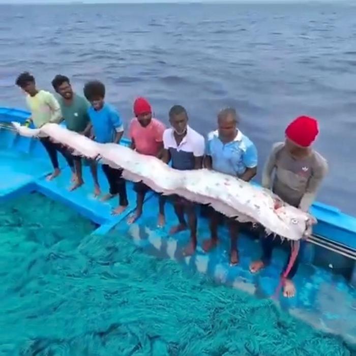 Mai mulți pescari au prins „peștele apocalipsei”, s-au fotografiat cu el și acum sunt îngroziți că un dezastru îi va lovi curând 981738