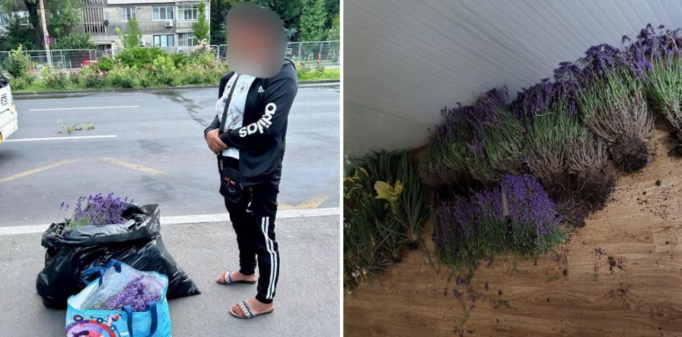 O femeie a fost prinsă de 2 ori într-o oră la furat de lavandă în Bucureşti: "În 20 de ani, nimeni nu m-a prins"  981710