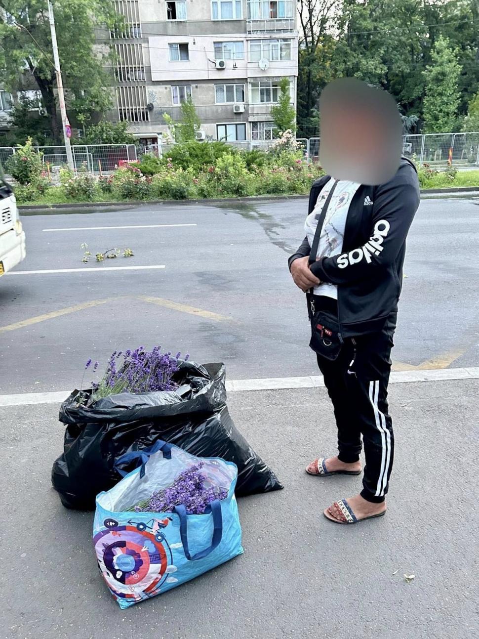 O femeie a fost prinsă de 2 ori într-o oră la furat de lavandă în Bucureşti: "În 20 de ani, nimeni nu m-a prins"  981716