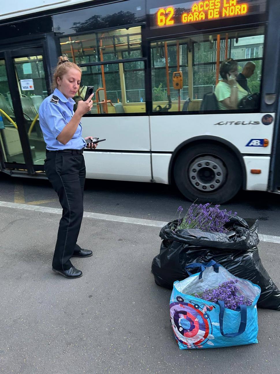 O femeie a fost prinsă de 2 ori într-o oră la furat de lavandă în Bucureşti: "În 20 de ani, nimeni nu m-a prins"  981723