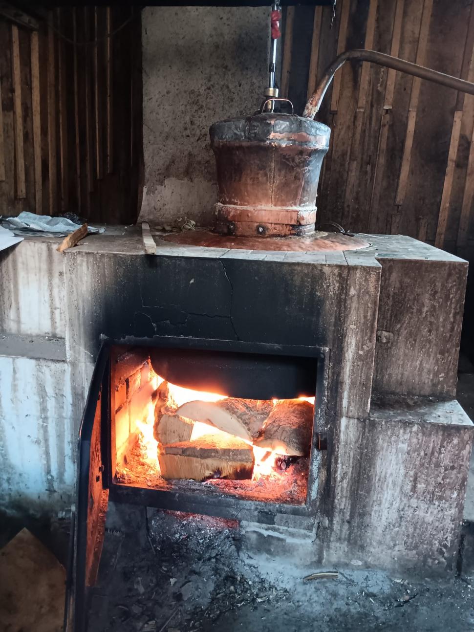 El este Dumitru Suceava, declarat Tezaur Uman Viu după ce a restaurat o moștenire de familie. Oamenii îi zic „Mitică de la Moară” 982313