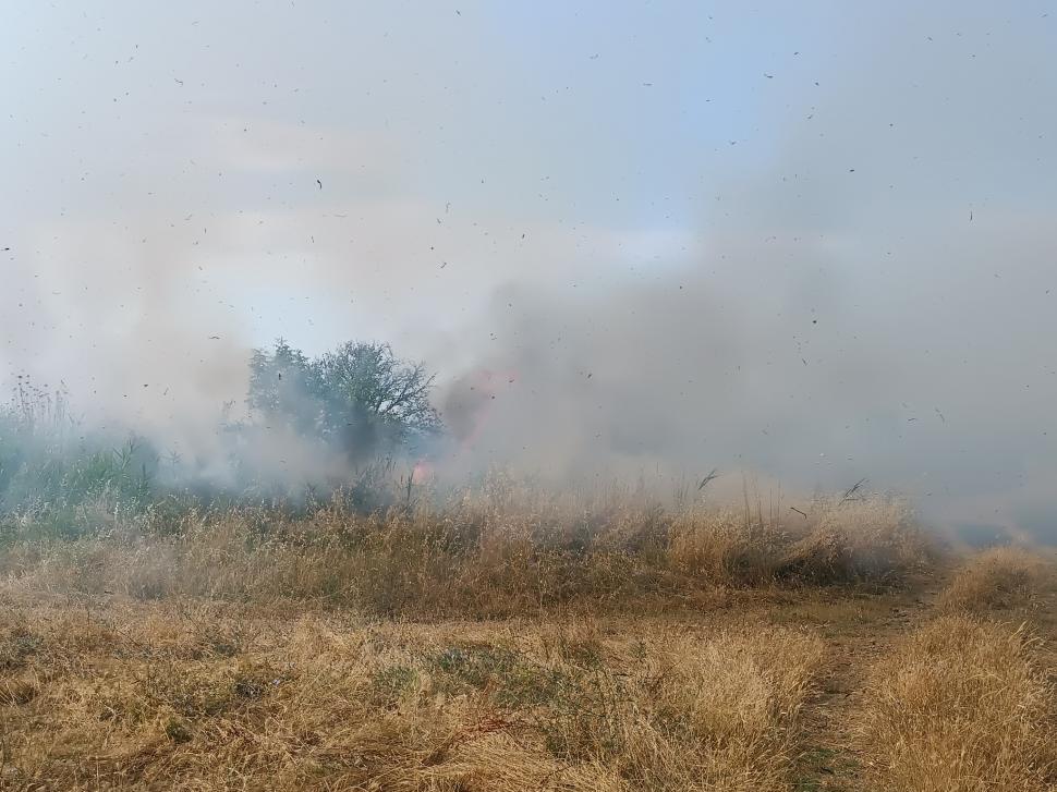 Europa ia foc la început de vară. Temperaturi extreme în Franța și Spania, incendii în Croația și Grecia 982469