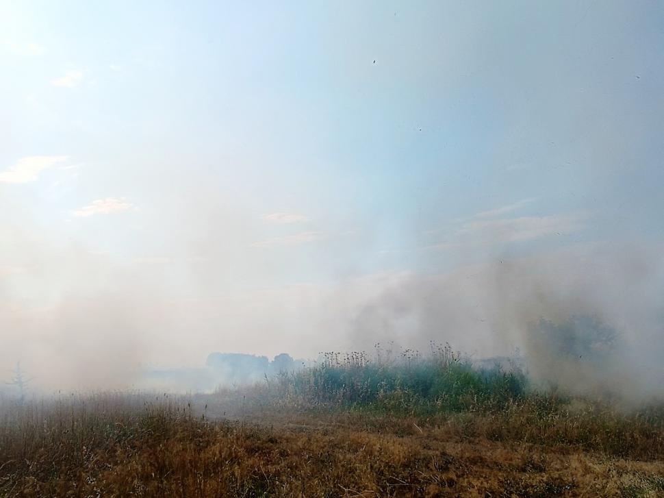 Europa ia foc la început de vară. Temperaturi extreme în Franța și Spania, incendii în Croația și Grecia 982470