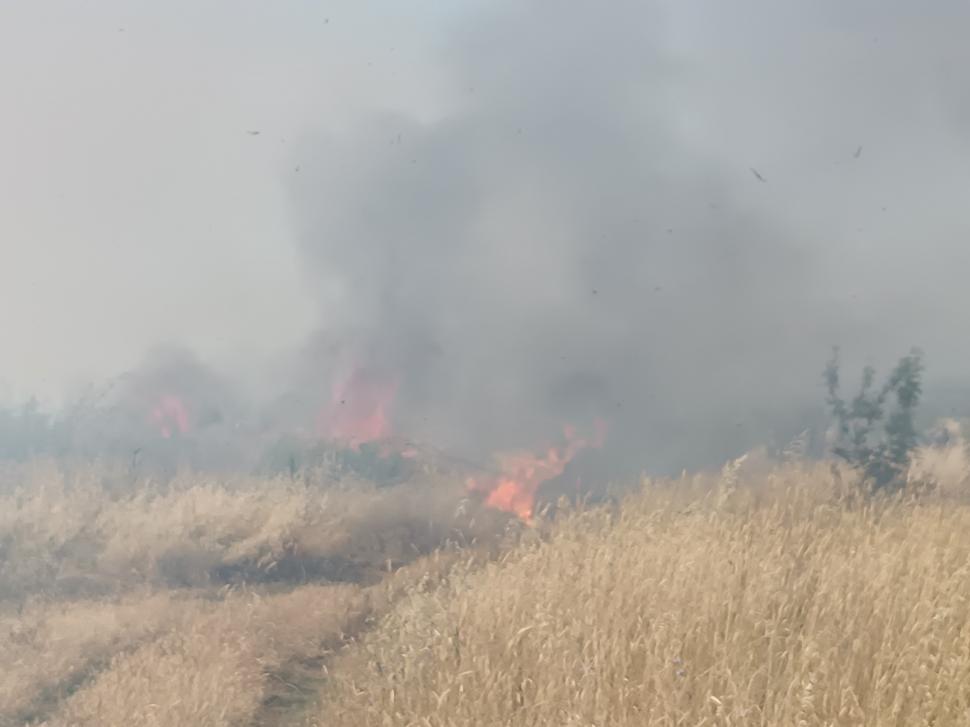 Europa ia foc la început de vară. Temperaturi extreme în Franța și Spania, incendii în Croația și Grecia 982476