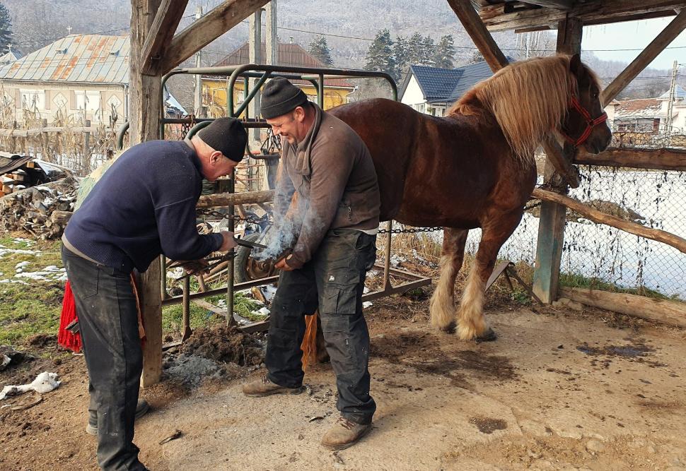 Cel mai cunoscut meșter fierar de pe Valea Șiului, Dumitru Trif, a fost declarat „Tezaur uman viu”. Are 57 de ani și bate fierul de 40 982362